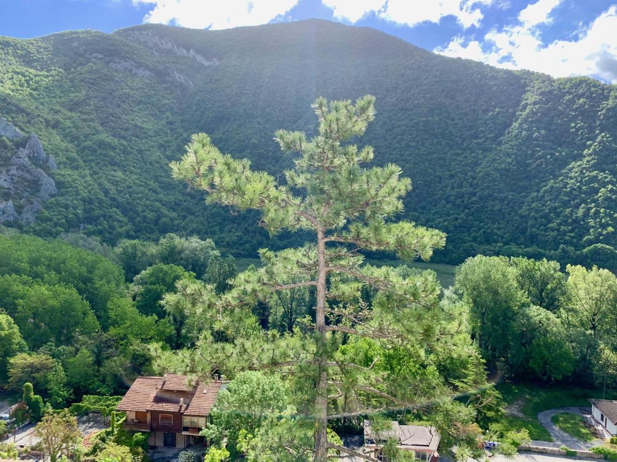 La Forestale Luxury Ecolodge B&B Primo Piano Acqualagna Eksteriør billede